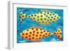 Spotty Fish, 1998-Julie Nicholls-Framed Giclee Print