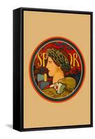 SPQR, Emblem of Italy-Edwin Howland Blashfield-Framed Stretched Canvas