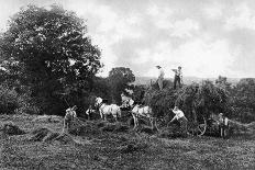 Haymaking, 1911-1912-Sprague & Co-Framed Giclee Print