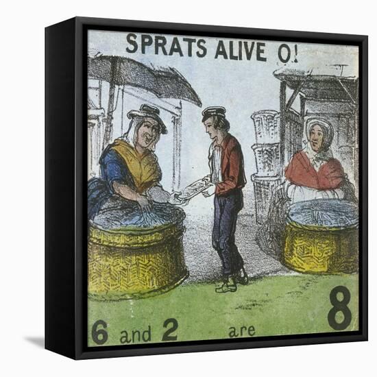 Sprats Alive O!, Cries of London, C1840-TH Jones-Framed Stretched Canvas