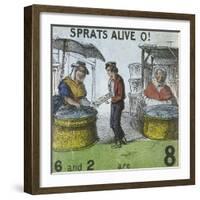 Sprats Alive O!, Cries of London, C1840-TH Jones-Framed Giclee Print