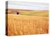 Sprawling Wheat Field-Terry Eggers-Stretched Canvas