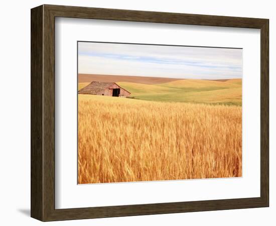 Sprawling Wheat Field-Terry Eggers-Framed Photographic Print