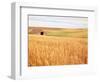 Sprawling Wheat Field-Terry Eggers-Framed Photographic Print