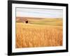 Sprawling Wheat Field-Terry Eggers-Framed Photographic Print