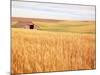 Sprawling Wheat Field-Terry Eggers-Mounted Photographic Print