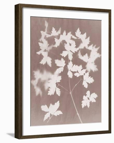 Spray in Grey-Sarah Cheyne-Framed Giclee Print