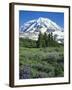 Spray Meadows, Mt. Rainier National Park, Washington, USA-Charles Gurche-Framed Premium Photographic Print