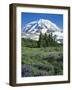 Spray Meadows, Mt. Rainier National Park, Washington, USA-Charles Gurche-Framed Photographic Print