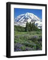 Spray Meadows, Mt. Rainier National Park, Washington, USA-Charles Gurche-Framed Photographic Print