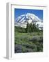 Spray Meadows, Mt. Rainier National Park, Washington, USA-Charles Gurche-Framed Photographic Print