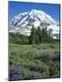 Spray Meadows, Mt. Rainier National Park, Washington, USA-Charles Gurche-Mounted Photographic Print