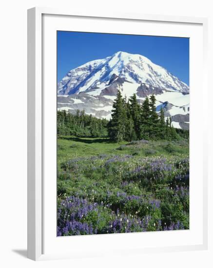 Spray Meadows, Mt. Rainier National Park, Washington, USA-Charles Gurche-Framed Photographic Print