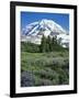 Spray Meadows, Mt. Rainier National Park, Washington, USA-Charles Gurche-Framed Photographic Print