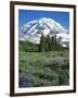 Spray Meadows, Mt. Rainier National Park, Washington, USA-Charles Gurche-Framed Photographic Print