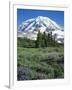 Spray Meadows, Mt. Rainier National Park, Washington, USA-Charles Gurche-Framed Photographic Print