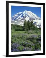 Spray Meadows, Mt. Rainier National Park, Washington, USA-Charles Gurche-Framed Photographic Print