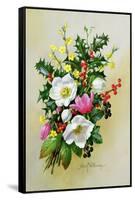 Spray of Dogrose, Holly, Mistletoe and Larkspur-Albert Williams-Framed Stretched Canvas