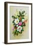 Spray of Dogrose, Holly, Mistletoe and Larkspur-Albert Williams-Framed Giclee Print