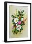 Spray of Dogrose, Holly, Mistletoe and Larkspur-Albert Williams-Framed Giclee Print