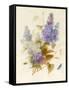 Spray of Lilac-Pauline Gerardin-Framed Stretched Canvas