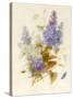 Spray of Lilac-Pauline Gerardin-Stretched Canvas