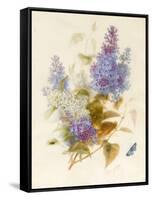 Spray of Lilac-Pauline Gerardin-Framed Stretched Canvas