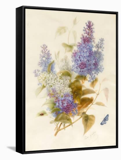 Spray of Lilac-Pauline Gerardin-Framed Stretched Canvas