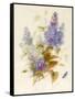 Spray of Lilac-Pauline Gerardin-Framed Stretched Canvas