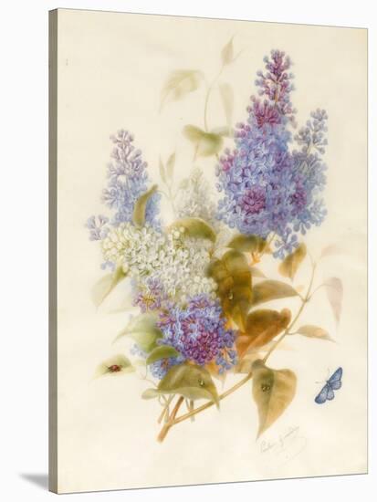 Spray of Lilac-Pauline Gerardin-Stretched Canvas