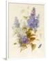 Spray of Lilac-Pauline Gerardin-Framed Giclee Print