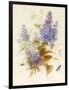 Spray of Lilac-Pauline Gerardin-Framed Giclee Print