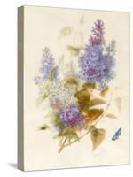 Spray of Lilac-Pauline Gerardin-Stretched Canvas