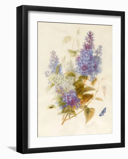 Spray of Lilac-Pauline Gerardin-Framed Giclee Print