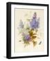 Spray of Lilac-Pauline Gerardin-Framed Giclee Print