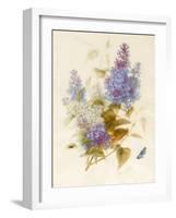 Spray of Lilac-Pauline Gerardin-Framed Giclee Print