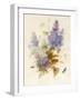 Spray of Lilac-Pauline Gerardin-Framed Giclee Print