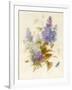 Spray of Lilac-Pauline Gerardin-Framed Giclee Print