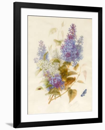 Spray of Lilac-Pauline Gerardin-Framed Giclee Print