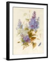 Spray of Lilac-Pauline Gerardin-Framed Giclee Print