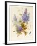 Spray of Lilac-Pauline Gerardin-Framed Giclee Print