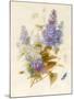 Spray of Lilac-Pauline Gerardin-Mounted Giclee Print