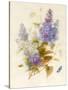 Spray of Lilac-Pauline Gerardin-Stretched Canvas