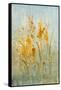 Spray of Wildflowers I-Tim O'toole-Framed Stretched Canvas