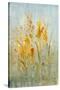 Spray of Wildflowers I-Tim O'toole-Stretched Canvas