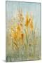 Spray of Wildflowers I-Tim O'toole-Mounted Art Print