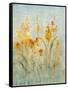 Spray of Wildflowers II-Tim O'toole-Framed Stretched Canvas