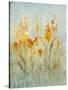 Spray of Wildflowers II-Tim O'toole-Stretched Canvas