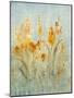 Spray of Wildflowers II-Tim O'toole-Mounted Art Print