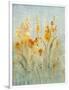 Spray of Wildflowers II-Tim O'toole-Framed Art Print